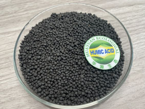 Axit Humic dạng hạt cỏ dại và chăm sóc cỏ