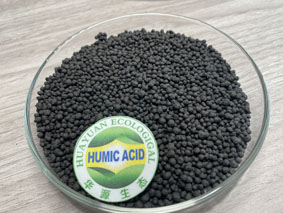 Axit Humic dạng hạt cỏ dại và chăm sóc cỏ