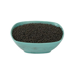Phân bón dạng hạt rải axit Humic tốt nhất cho cỏ trâu