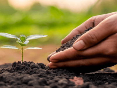 Tác dụng cải tạo đất của Axit Humic - tác dụng vật lý