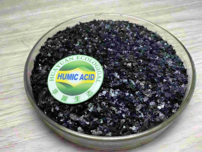 Áp dụng natri humate trong canh tác