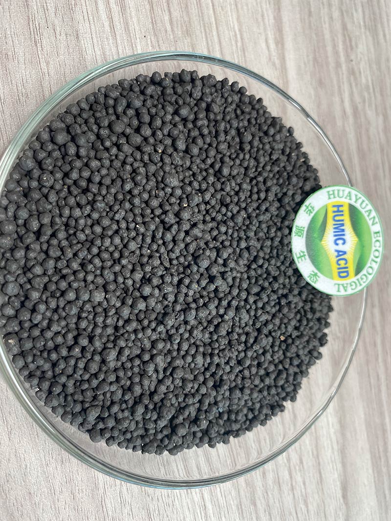 Axit Humic dạng hạt 50%