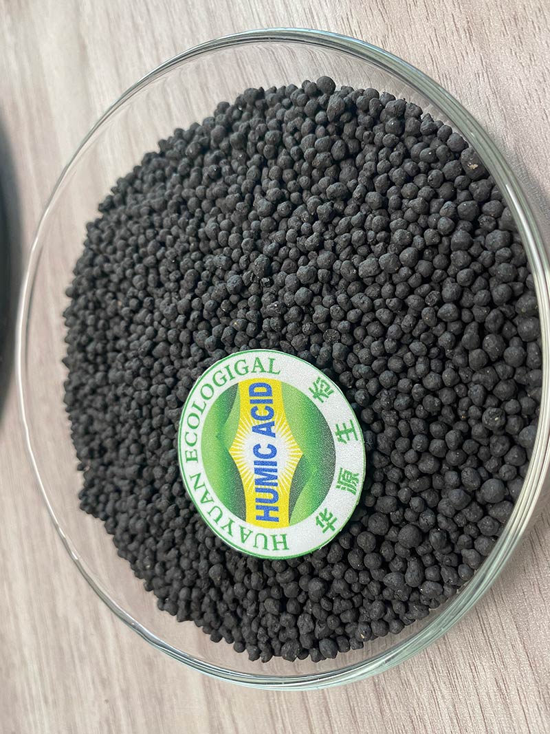 Axit Humic dạng hạt 70%