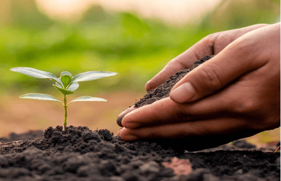 Tác dụng cải tạo đất của Axit Humic - hiệu ứng vật lý.jpg Tác dụng cải tạo đất của Axit Humic - hiệu ứng vật lý.jpg