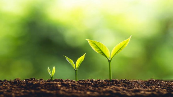 Tác dụng cải tạo đất của Axit Humic - hiệu ứng vật lý.jpg Tác dụng cải tạo đất của Axit Humic - hiệu ứng vật lý.jpg