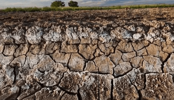 Đất mặn-kiềm.jpg