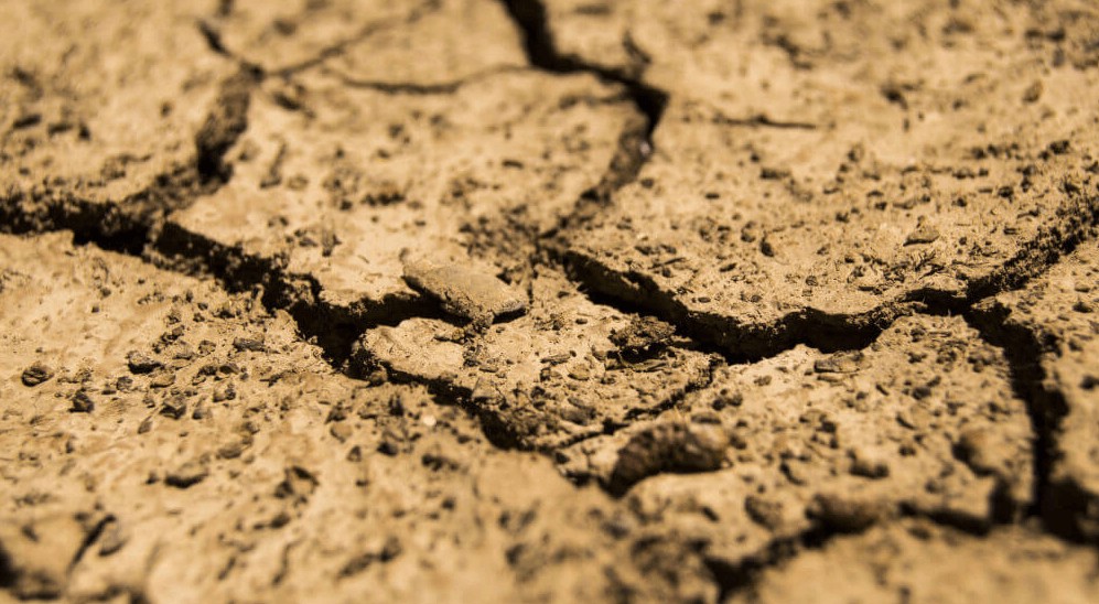 Đất bị axit hóa.jpg