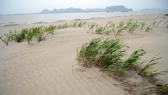 Đất sa mạc hóa.jpg