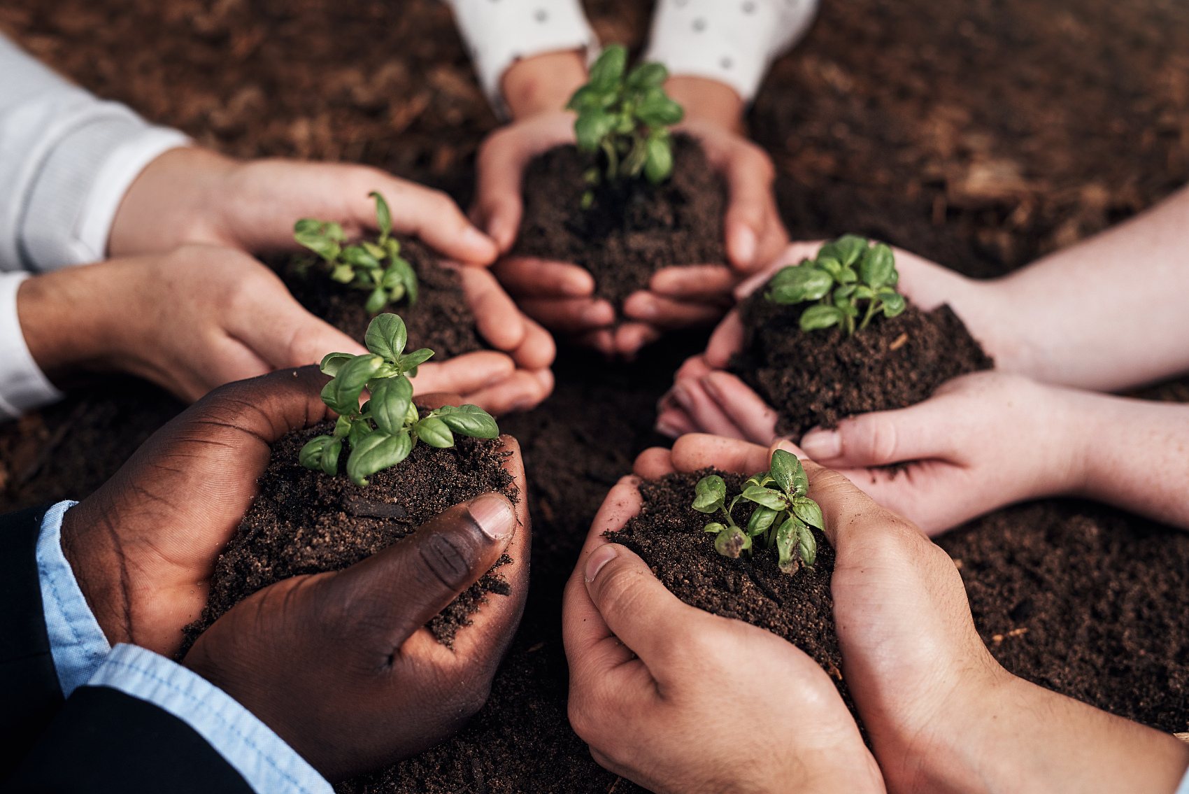 Tám chức năng và năm tác dụng của nguồn khoáng chất axit fulvic.jpg