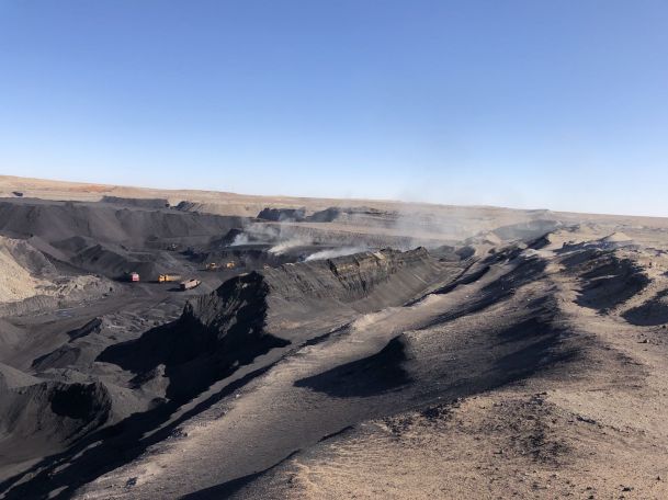 Bột Axit Humic Chất Lượng Tuyệt Vời Với Giá Thấp Nhất.jpg