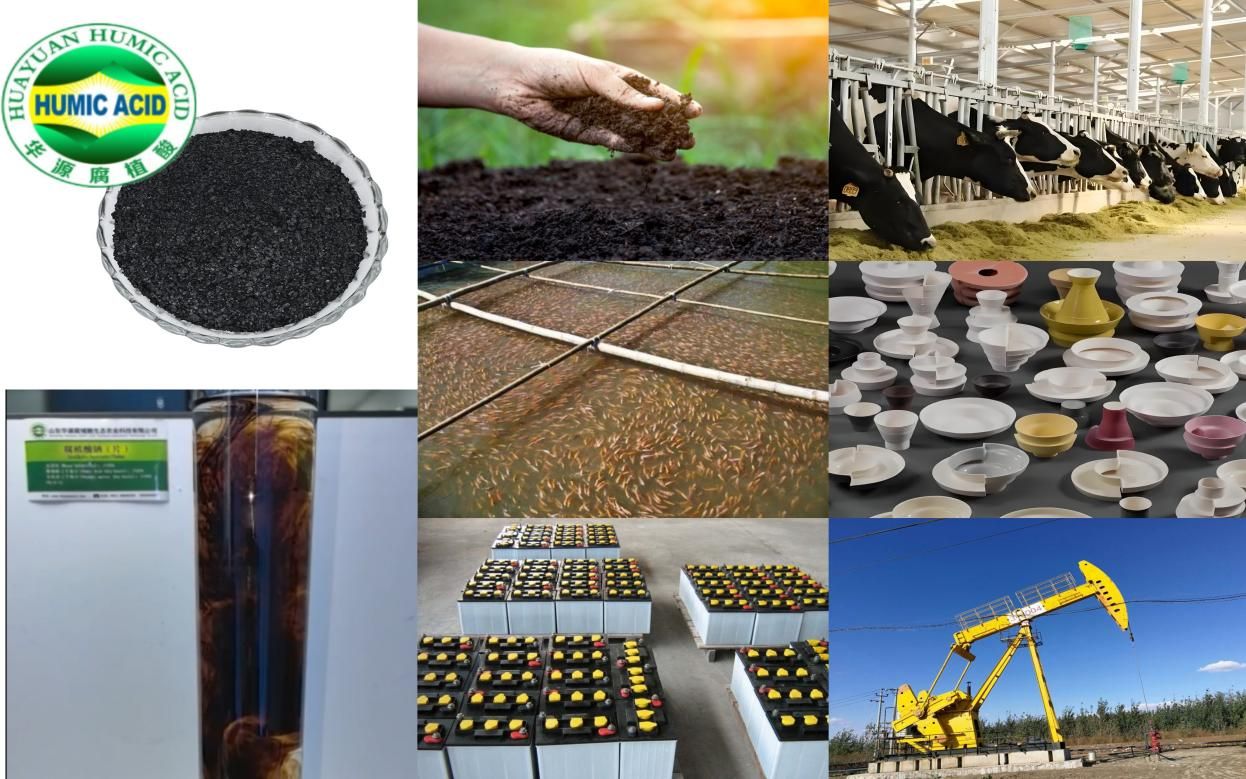 Nhà sản xuất cung cấp Sodium Humate với giá tốt.jpg